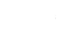 wordpress-1